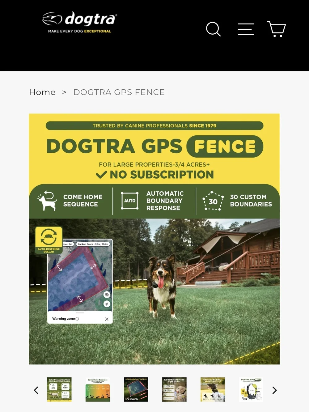 GPS Fence Dog Collar - Yellow